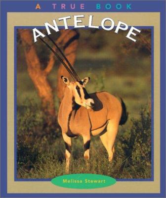 Antelope