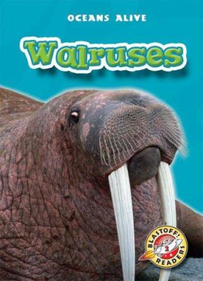 Walruses