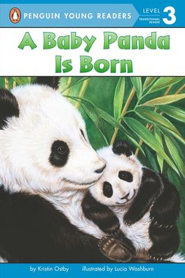 A baby panda is born