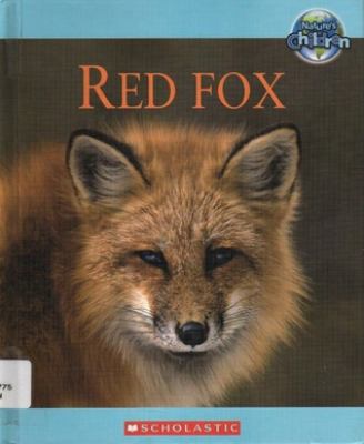 Red fox