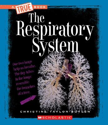 The respiratory system