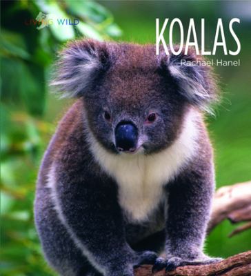 Koalas