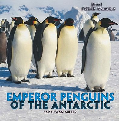 Emperor penguins of the Antarctic