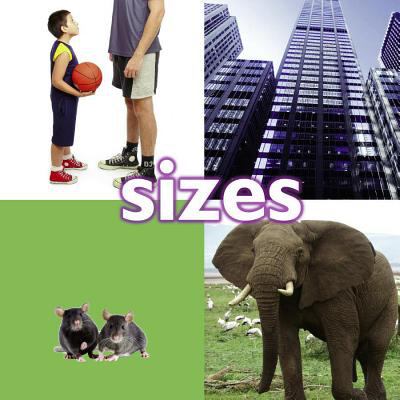 Sizes