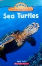 Sea turtles