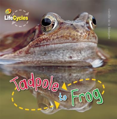 Tadpole to frog