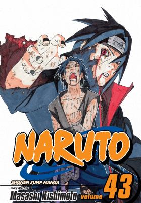 Naruto. 43, The man with the truth /