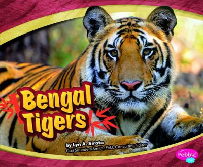 Bengal tigers