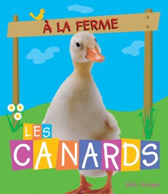 Les canards