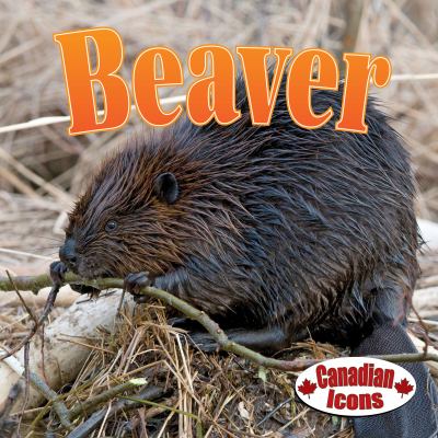 Beaver