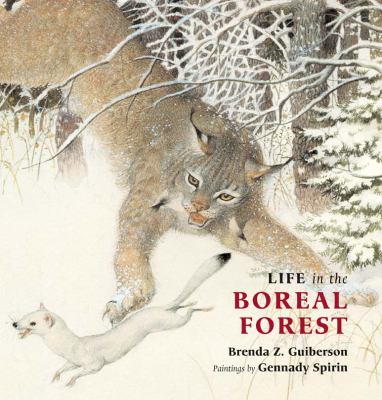 Life in the boreal forest