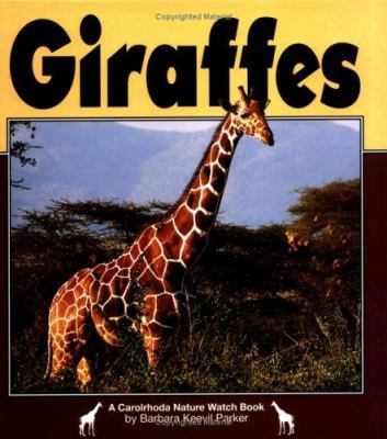 Giraffes