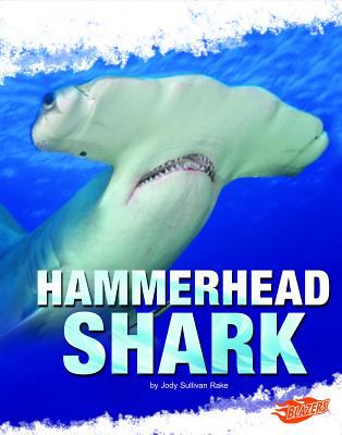 Hammerhead shark