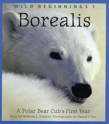 Borealis : a polar bear cub's first year