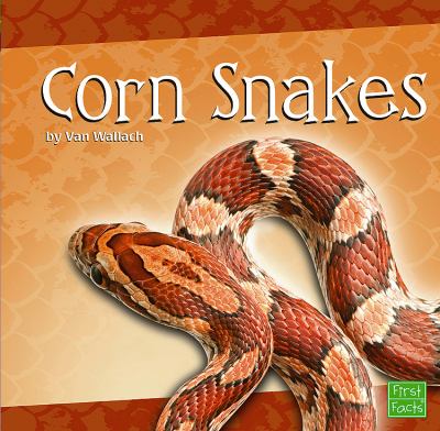 Corn snakes