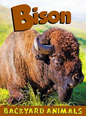 Bison