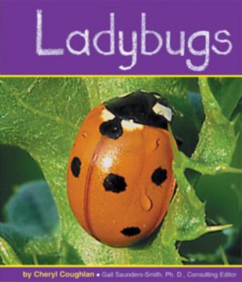 Ladybugs