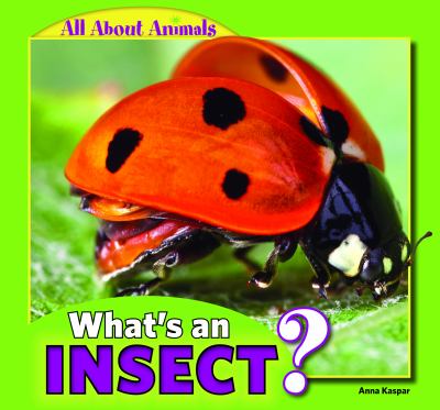 What's an insect?