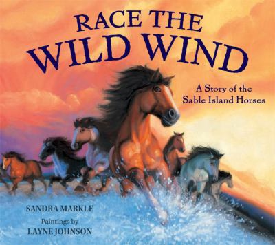 Race the wild wind : a story of the Sable Island horses