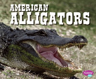 American alligators