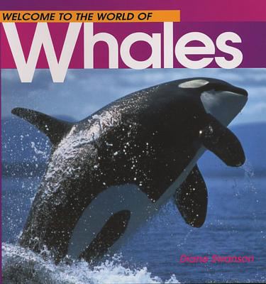 Welcome to the world of whales