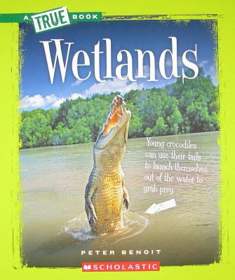 Wetlands