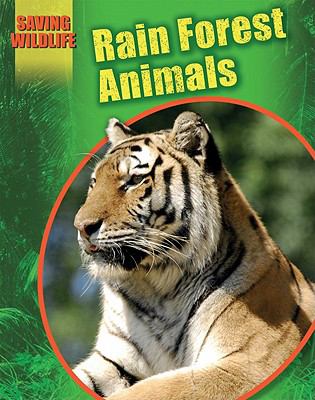 Rain forest animals