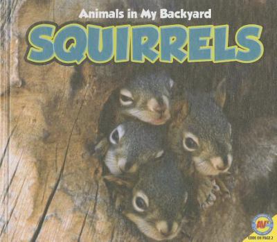 Squirrels