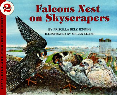 Falcons nest on skyscrapers