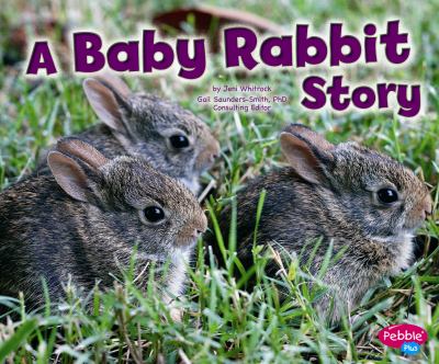 A baby rabbit story