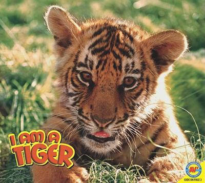 I am a tiger