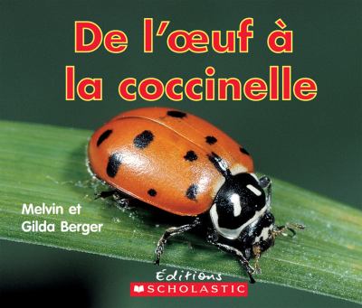 De l'oeuf à la coccinelle