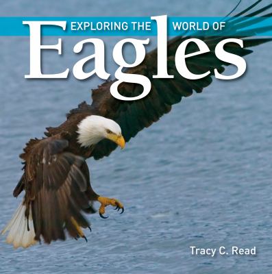 Exploring the world of eagles