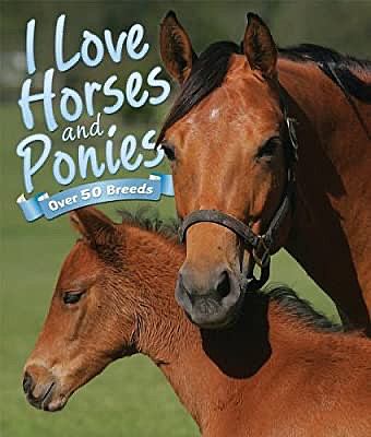 I love horses and ponies