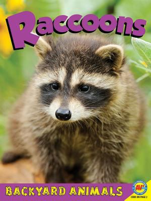 Raccoons