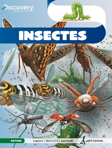 Insectes