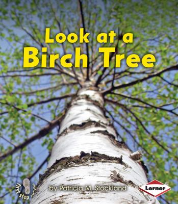 Look at a birch tree