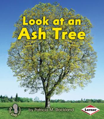 Look at an ash tree