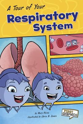 A tour of your respiratory system