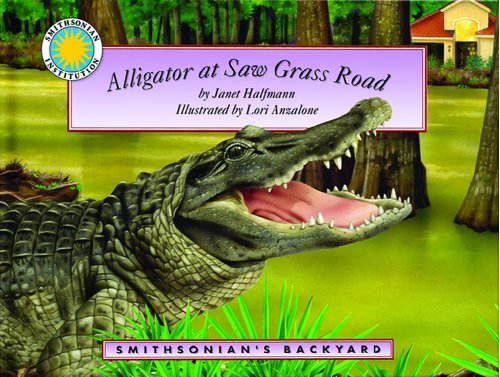 Alligator at Saw Grass road