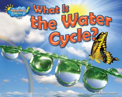 What is the water cycle?