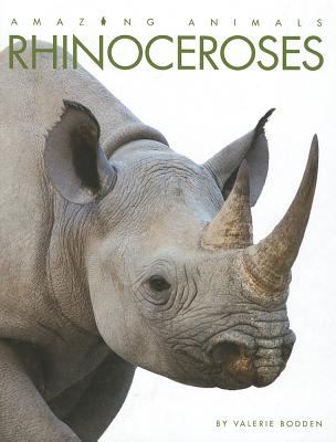 Rhinoceroses