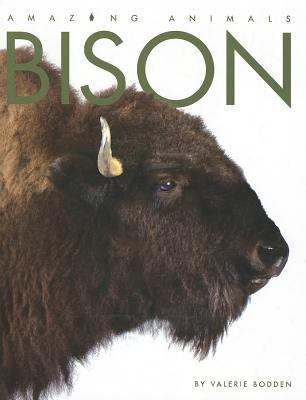 Bison