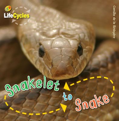 Snakelet to snake