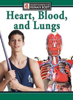 Heart, blood, and lungs