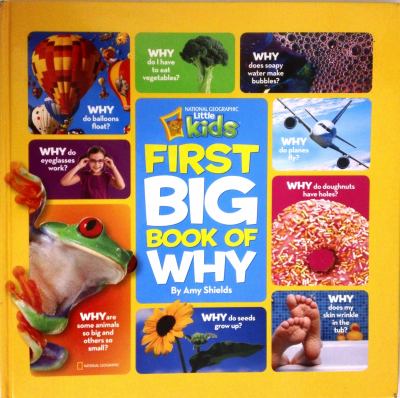 First big book of why