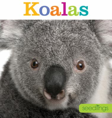 Koalas