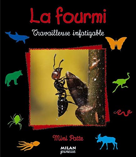 La fourmi : travailleuse infatigable