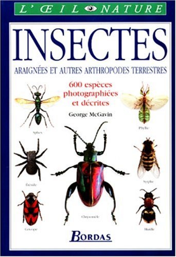 Insectes : araignées et autres arthropodes terrestres