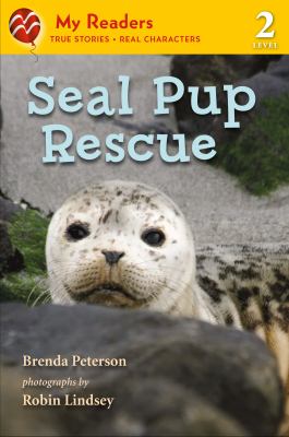 Seal pup rescue